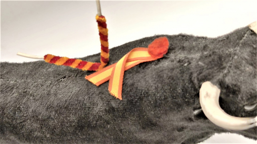 İSPANYADA BOGA GÜREŞLERİNDE ARENEDA MATODORLA GÜREŞEN GÜREŞCİ BOGA 