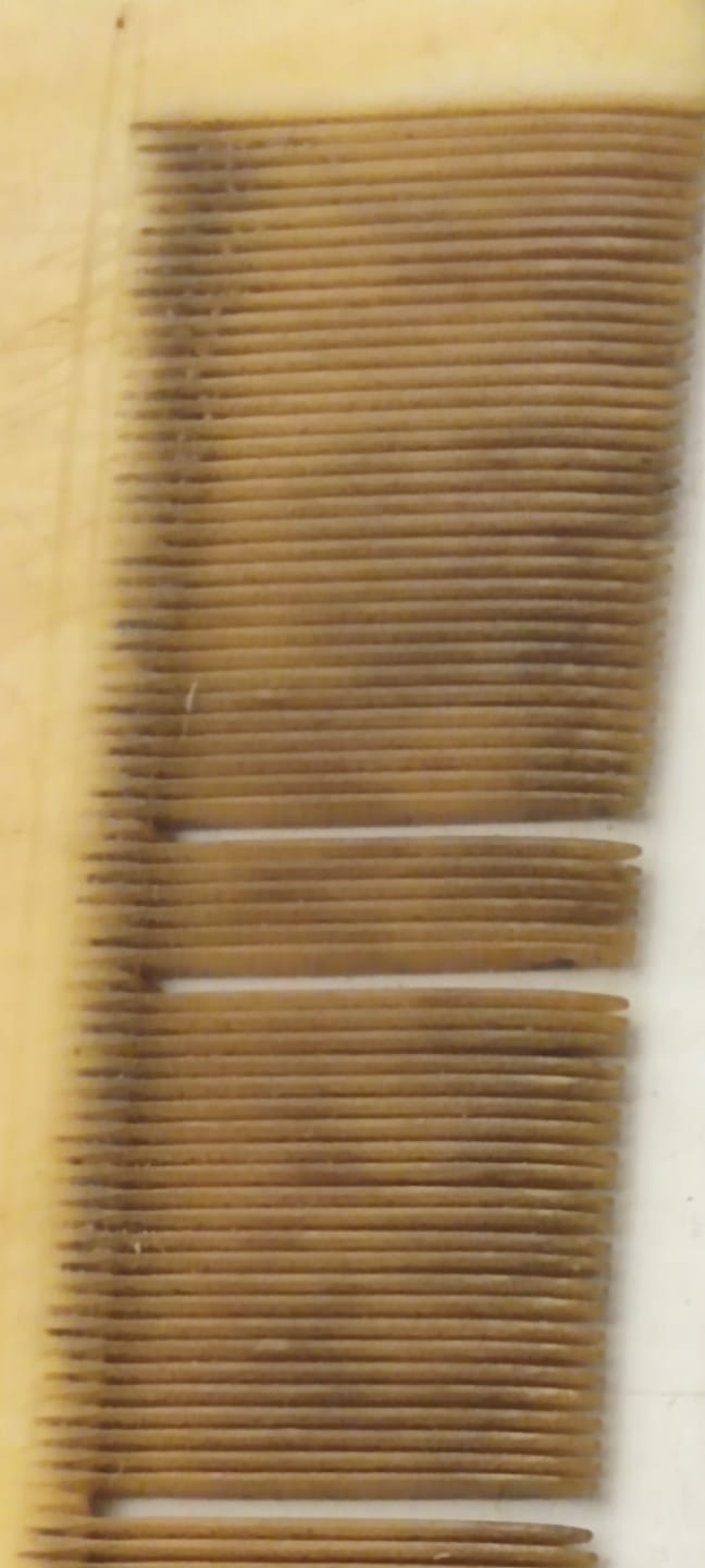 OSMANLI TAMAMI ELDE YAPILAN FİL DİŞİ TARAK BİRKAC DİŞİ KIRILMIŞTIR BİT TARAGI OLARAK TANINIR