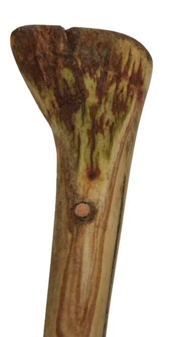 SICAK EL DOĞME USTA İŞİ UFAK BOYDA KUŞAK KAMASI AHŞAP YILAN AGACI SAP