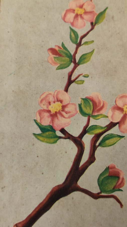 1960 LEDA LİMON KOLONYASI İSTAMBUL MANZARALI KARTON KUTU İCERSİNDE CAM KOLANYA ŞİŞESİ TAM TAKIM