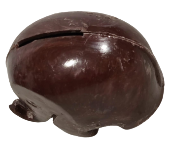 PAMUKBANK FİL FORMUNDA KAHVERENGİ PLASTİK UFAK BOYDA KUMBARA UZERİNDEKİ YAZISI SİLİNMİŞ