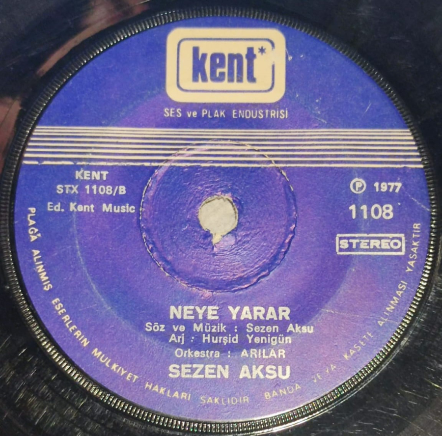 SEZEN AKSU - KAYBOLAN YILLAR - NEYE YARAR 45'LİK PLAK  STEREO 1977 YILI KAYIT
