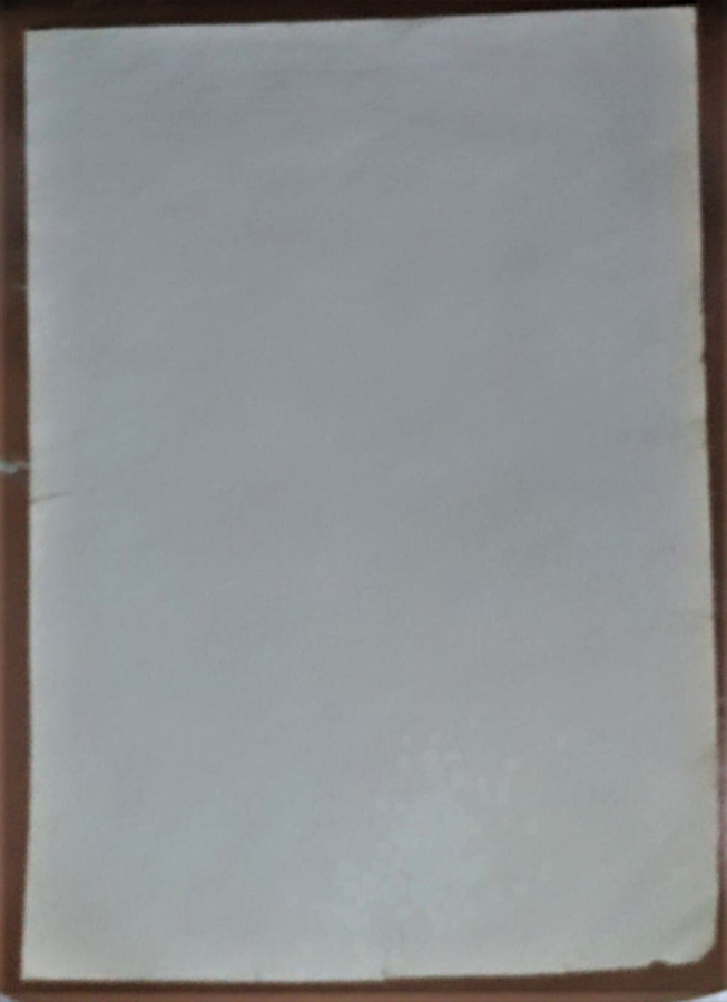 1924 TONY GEORGE ROUX ARNAGA TYPO GRAVURE ILLUSTRATION KOLEKSİYON BASKISI