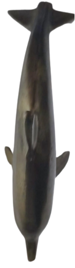 PİRİNC YUNUS BALIGI  SUDA ATLARKEN POZİZYONUNDA TASARLANMIŞ