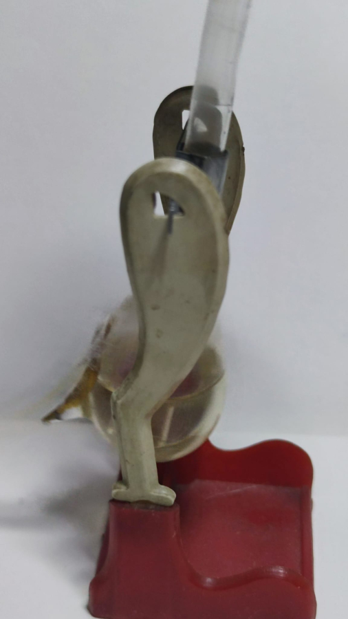 SU İCEN ŞANSLI ÖRDEK HAREKET EDEREK BARDAKDAN SU İÇİP TEKRARDAN HAREKETLENMEKDE DEVAMLI HEREK EDER