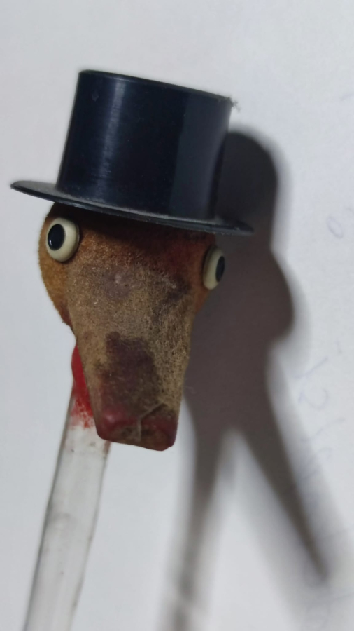 SU İCEN ŞANSLI ÖRDEK HAREKET EDEREK BARDAKDAN SU İÇİP TEKRARDAN HAREKETLENMEKDE DEVAMLI HEREK EDER