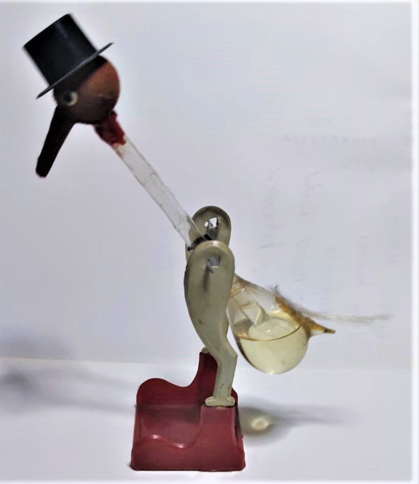 SU İCEN ŞANSLI ÖRDEK HAREKET EDEREK BARDAKDAN SU İÇİP TEKRARDAN HAREKETLENMEKDE DEVAMLI HEREK EDER