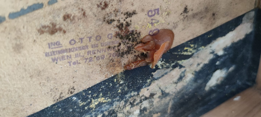 1920 İNG OTTO GRAF ELEKTROMEDİZİNİSCHEN U TECH APPARATE WİEN III  RENNWEG 50  ELEKTROTERAPİ MASAJ  TEDAVİ APARATI ORJİNAL KUTUSUNDA TIP KOLEKSİYON PARCASI