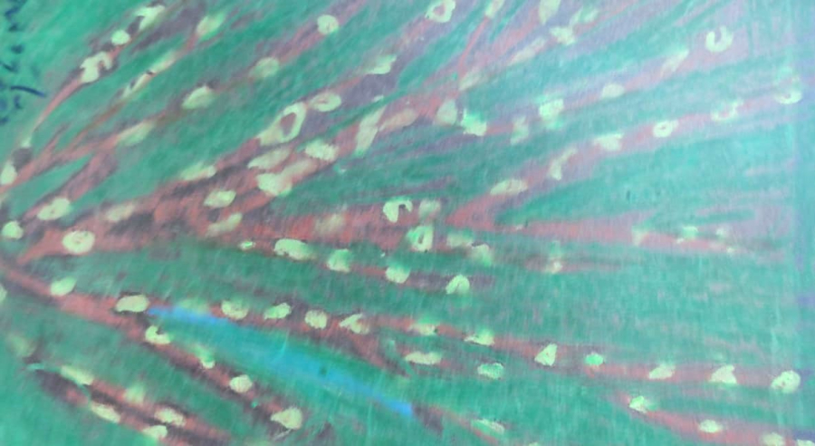 1979 İBRAHİM CİFTCİOĞLU RESSAM SANATCI İMZALI KARTON ÜZERİNE GUAJ CALIŞMA  ORJİNAL CERCEVESİNDE