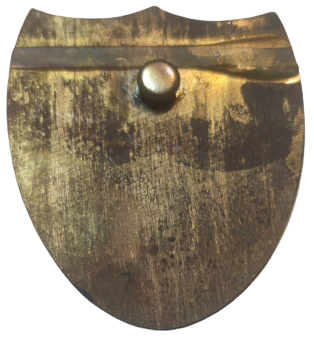 1940 TCDD TÜRKİYE CÜMHÜRİYETİ DEVLET DEMİRYOLLARI ARABALI VAPUR TREN MAKİNİST BRÖVESİ 1 ADET MAVİ BORDO PİRİNC ÜZERİ