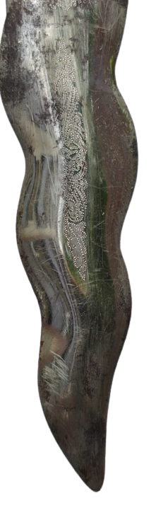 HANCER AHŞAP DERİ KAPLAMA KIN BOYNUZ İŞLEMELİ ELCİK  HANCER ÜZERİ İŞLEME 