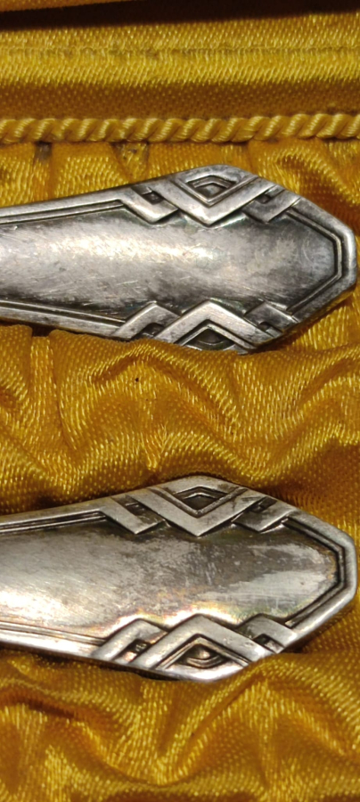 ORJİNAL İPEK KAPLAMA KUTUSUNDA SEYEHAT CATAL VE KAŞIK BOUSQUET NARBONNE ARGENTA 50 