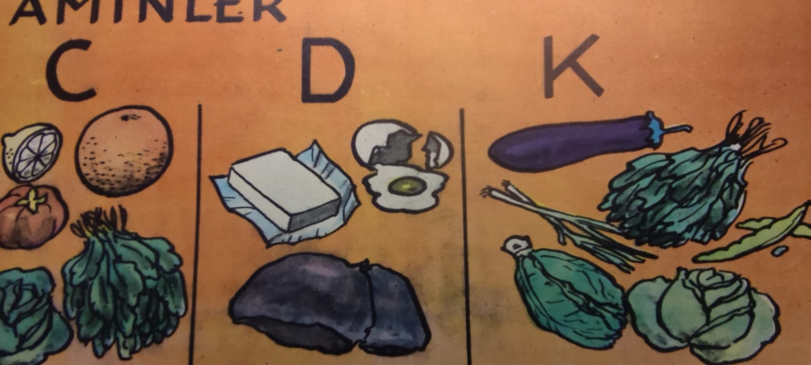 1980 ÖZYUREK YAYINEVİ TARAFINDAN BASILMIŞ RENKLİ TİFDRUK BASKI BESLENME TEMEL BESİN GURUPLARI İYİ BESLENME ALIŞKANLIKLARI VİTAMİNLER A B C D K 