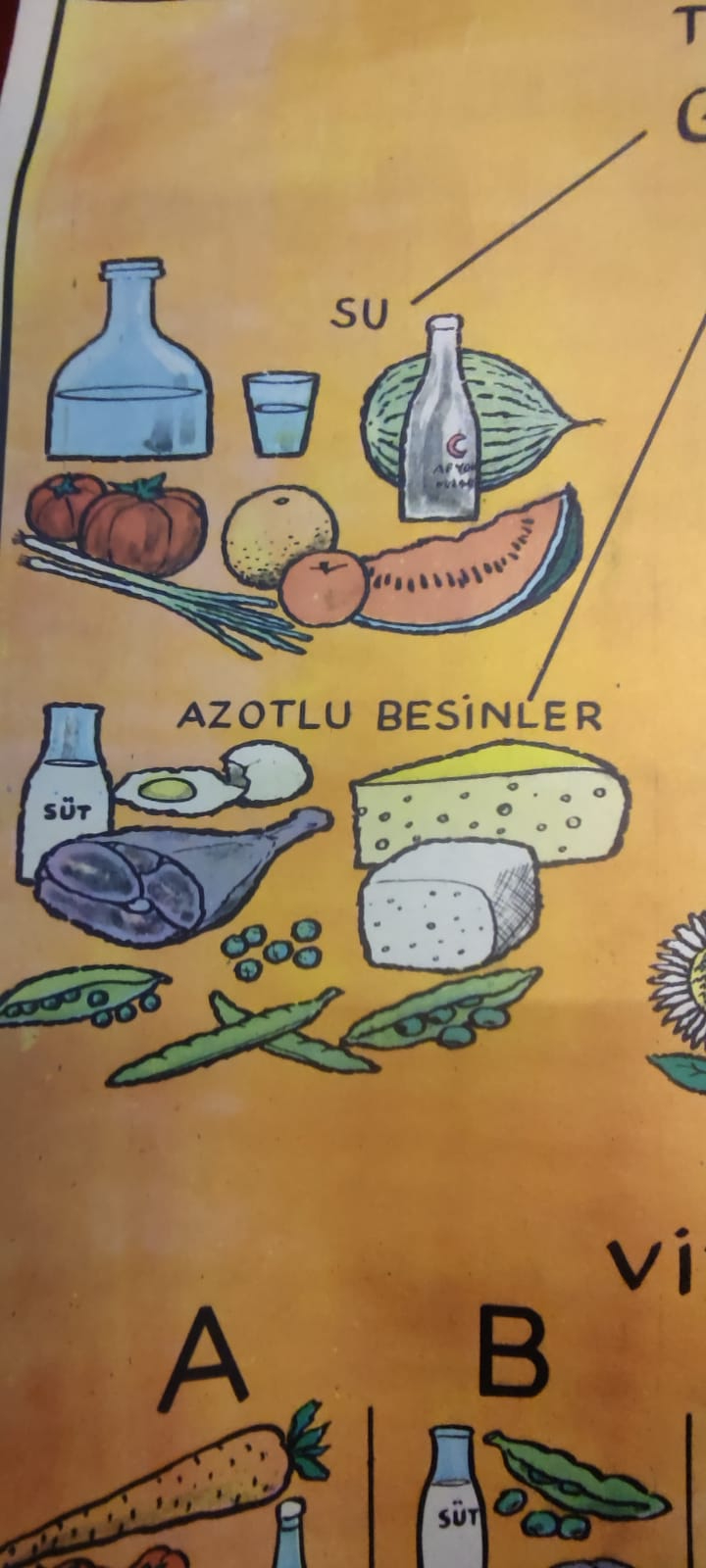 1980 ÖZYUREK YAYINEVİ TARAFINDAN BASILMIŞ RENKLİ TİFDRUK BASKI BESLENME TEMEL BESİN GURUPLARI İYİ BESLENME ALIŞKANLIKLARI VİTAMİNLER A B C D K 