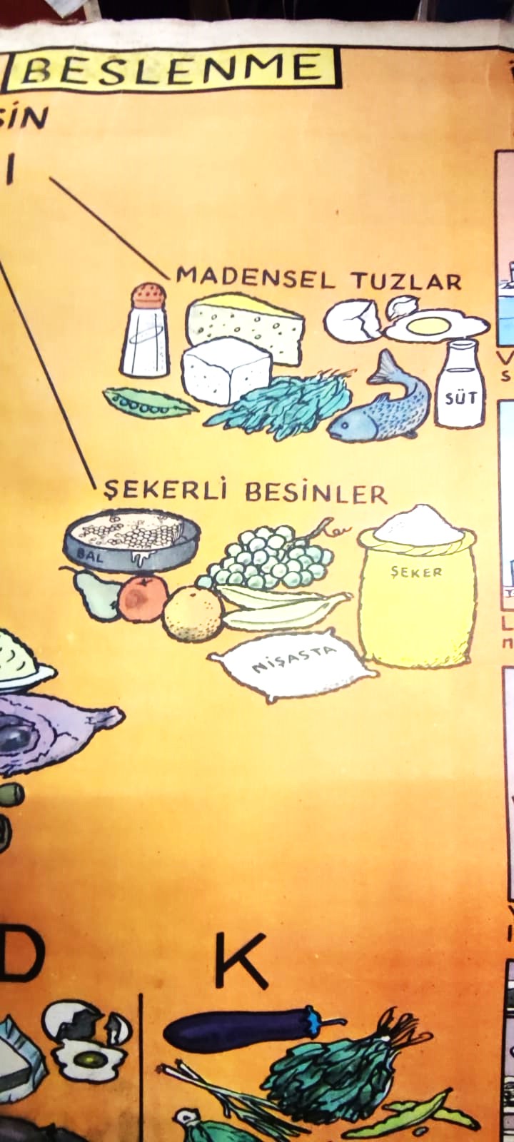 1980 ÖZYUREK YAYINEVİ TARAFINDAN BASILMIŞ RENKLİ TİFDRUK BASKI BESLENME TEMEL BESİN GURUPLARI İYİ BESLENME ALIŞKANLIKLARI VİTAMİNLER A B C D K 