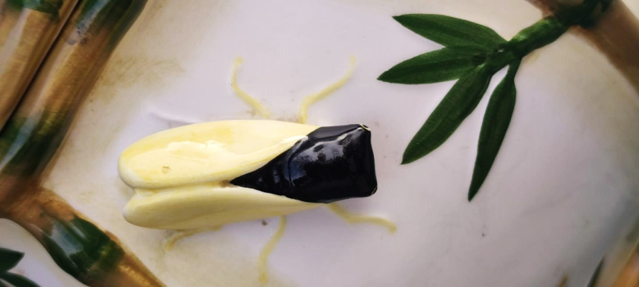 1970 WORLD BAZAARS INC CERAMIC ÜZERİ BAMBU DALLARI YAPRAKLARI VE ÜZERİNDE BİR SİNEK FİGÜRÜ BULUNAN KAPAKLI SAKLAMA KABI