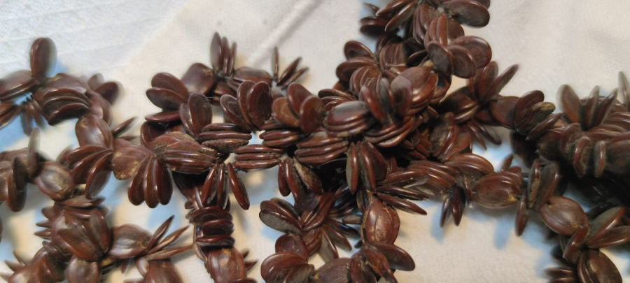 BİTKİ VE MEYVE ÇEKİRDEK VE TOHUMLARINDAN YAPILMIŞ TROPİKAL EL YAPIM CANTA  TAŞINABİLİR DEKORATIF KAHVERENGİ VE KREM TONLARDA KOLEKSİYON ÇANTA 