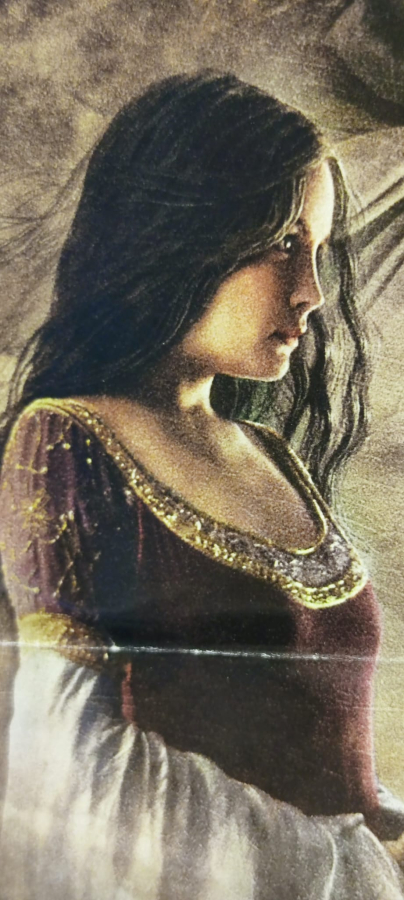 THE LORD OF THE RİNGS SİNEMA AFİŞİ YÜZÜKLERİN EFENDİSİ FİLMİN TANITIMINDA ASILARAK KULLANILMIŞ ORJİNAL AFİŞDİR