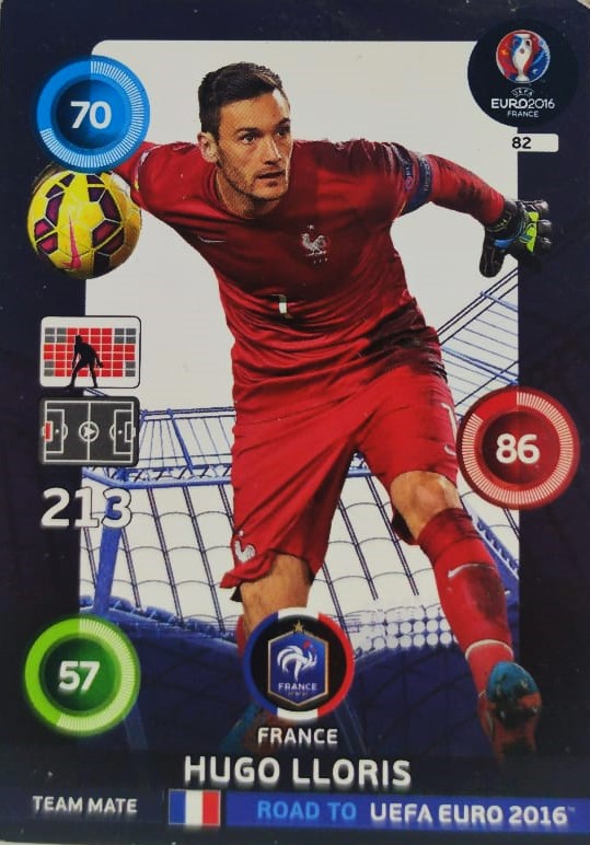  PANİNİ UEFA EURO 2016 FRANCE HUGO LLORIS EN İYİ FUTBOLCU OYUNCU KARTI 213 NO