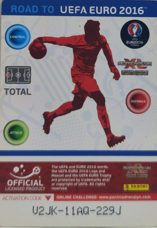  PANİNİ UEFA EURO 2016 FRANCE HUGO LLORIS EN İYİ FUTBOLCU OYUNCU KARTI 213 NO