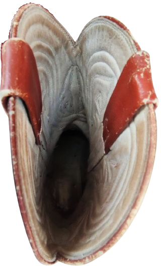 USA AMERİKAN ÖZEL TASARIM COWBOY WESTERN BOOTS KAHVERENGİ KOVBOY CİZME TİMSAH DERİSİ EL DİKİM KOSELE