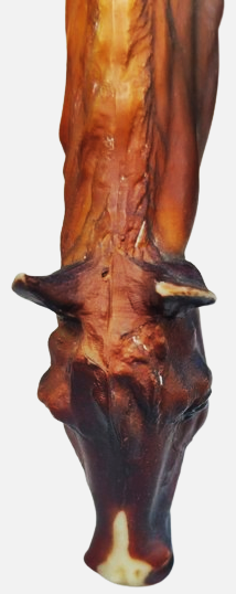 1970 BREYER HOLONG CO USA  BREYER GELENEKSEL OTLAYAN KISRAK KESTANE RENK NADİR AT