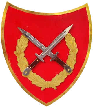 TURKİYE CUMHURİYETİ CEPHEDE  SUNGU SAVASI PİYADE SİLT CELENK İCİNDE İKİ KASATURA YUKSEK BASARI İCİN VERİLEN ORJINAL CERCEVESİNDE