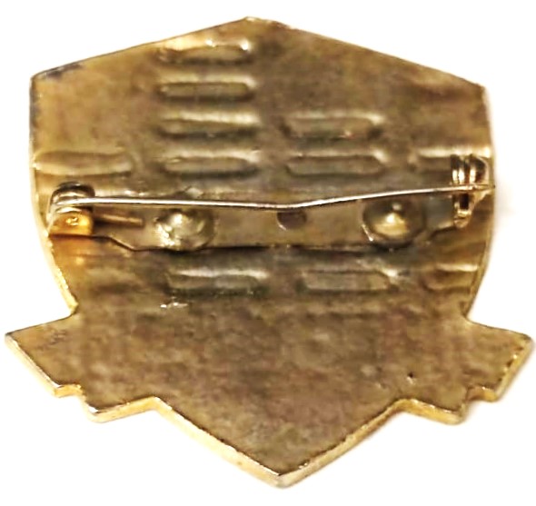 TÜRKİYE MOTOSİKLET PLATFORMU TURAN BİRLİGİ TTURKİYE MOTOR KULUBU OZEL ROZETİ ARKASI İGNELİ