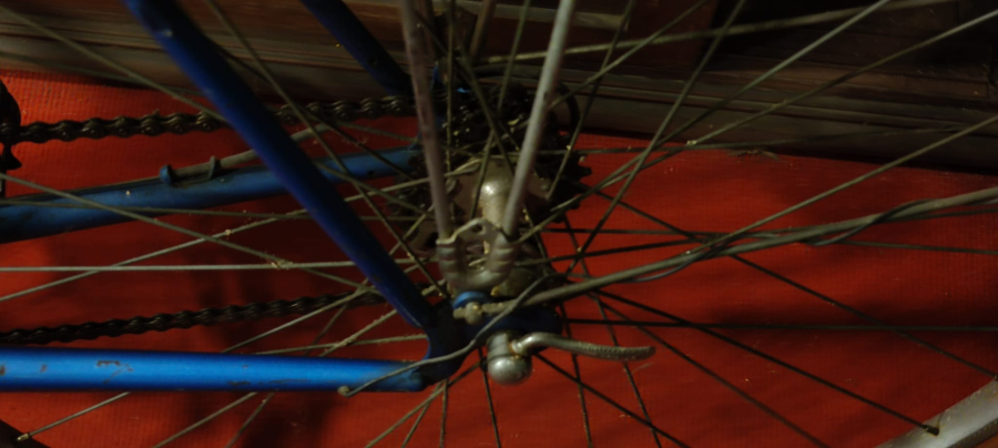 FENERBAHCE LEFTER KUCUK ANDONYADİS KULLANDIGI BİSİKLET ADA PLAKALI