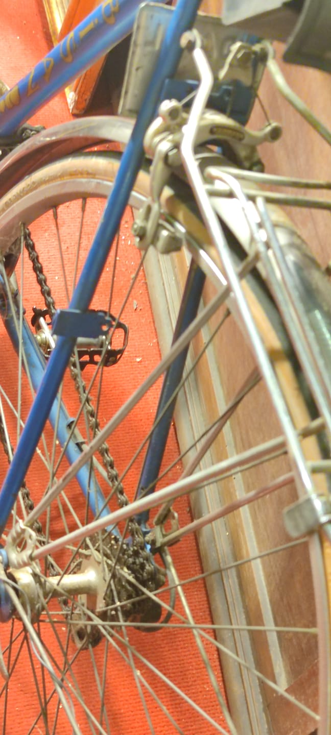 FENERBAHCE LEFTER KUCUK ANDONYADİS KULLANDIGI BİSİKLET ADA PLAKALI