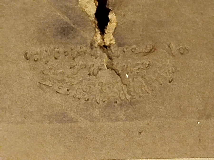 CONSTANTİNOPLE PHOTO RESNA OMANLI DAMGALI GURUP FOTOGRAFI