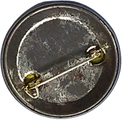 1970 TENEKE ROZET CİZGİ FİLM KAHRAMANI ARKASI İGNELİ