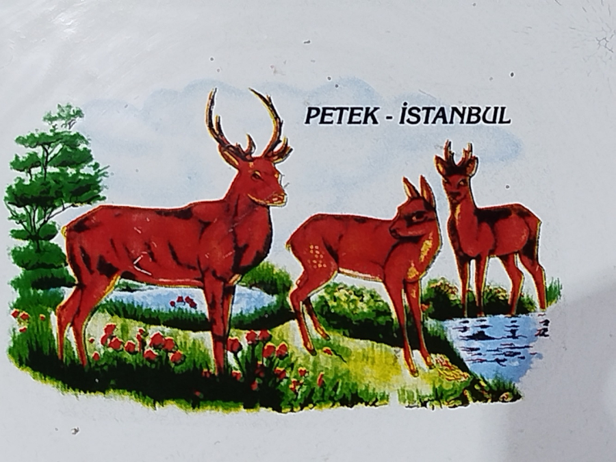 1960 YERLİ PETEK EMAYE UFAK BOYDA KAHVE TEPSİSİ ORTASI GEYİK  CEYLAN RESİMLİ