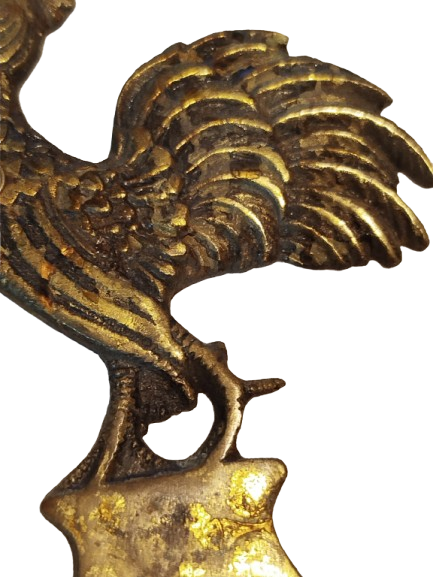 HOROZ FORMUNDA TASARLANMIS  PİRİNC SİSE GAZOZ KAPAK ACACAGI 