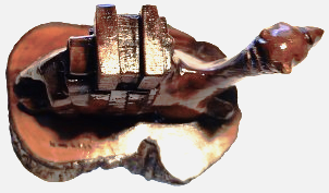 1940 HOKKA ZEYTİN AGACINDAN DEVE UZERİ KİLİTLİ KAPAKLI İCERSİNDE CAMI OLAN YAHUDİ TUCCAR HOKKASI