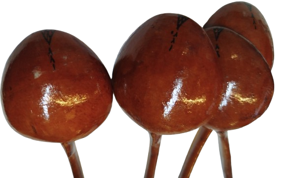 KONYA MEVLANA DORT ADET KEPCE KISIMLAR KOK BOYA CİCEKLER SAPLARI MEVLANANIN GUZEL SOZLERİYLE YAZILI EL YAPIM UCLAR SIKKE