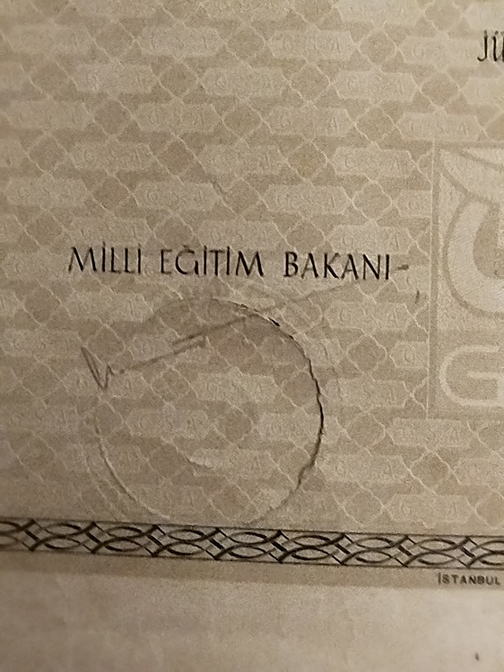 TURKİYE CUMHURİYETİ MİLLİ EGİTİM BAKANLIGI GUZEL SANATLAR AKADEMİSİ DESİNATORLUK DİPLOMASI