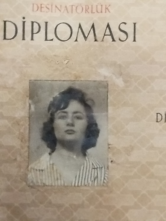 TURKİYE CUMHURİYETİ MİLLİ EGİTİM BAKANLIGI GUZEL SANATLAR AKADEMİSİ DESİNATORLUK DİPLOMASI