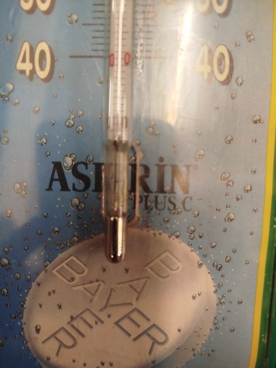 BAYER ASPİRİN REKLAMLI ALMAN BUYUK BOY  YESİL RENDE MİKA DERECE