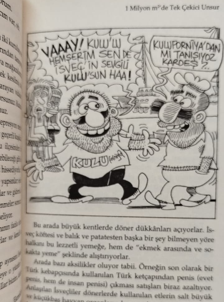 TÜRK'ÜN TOPALINI ÇİN'DE GÖRMÜŞLER   YALÇIN PEKŞEN SAY YAYINLARI İLK BASKI