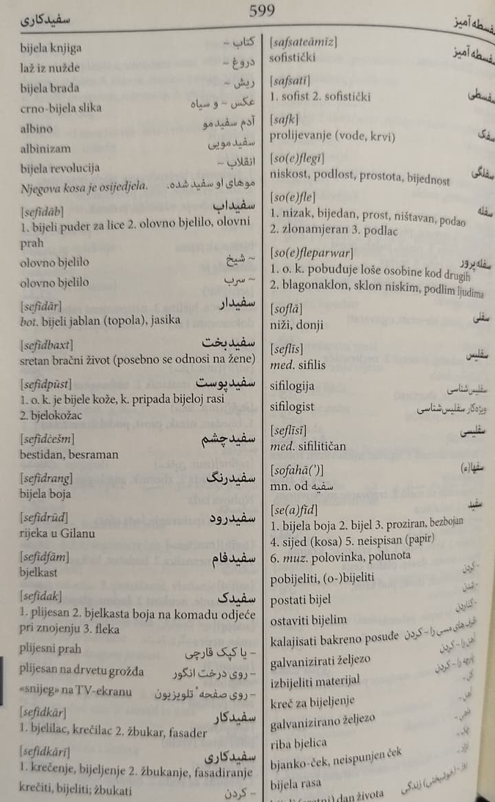 İBN SİNA PERZIJSKO BOSANSKİ RJEČNIK MUBİNA MOKER DENİTA HAVERIC