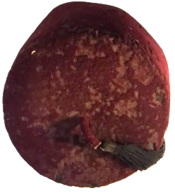 1826 OSMANLI ORJINAL BORDO SALLAMA PUSKULLU FES İC ASTAR HASIR ORME 