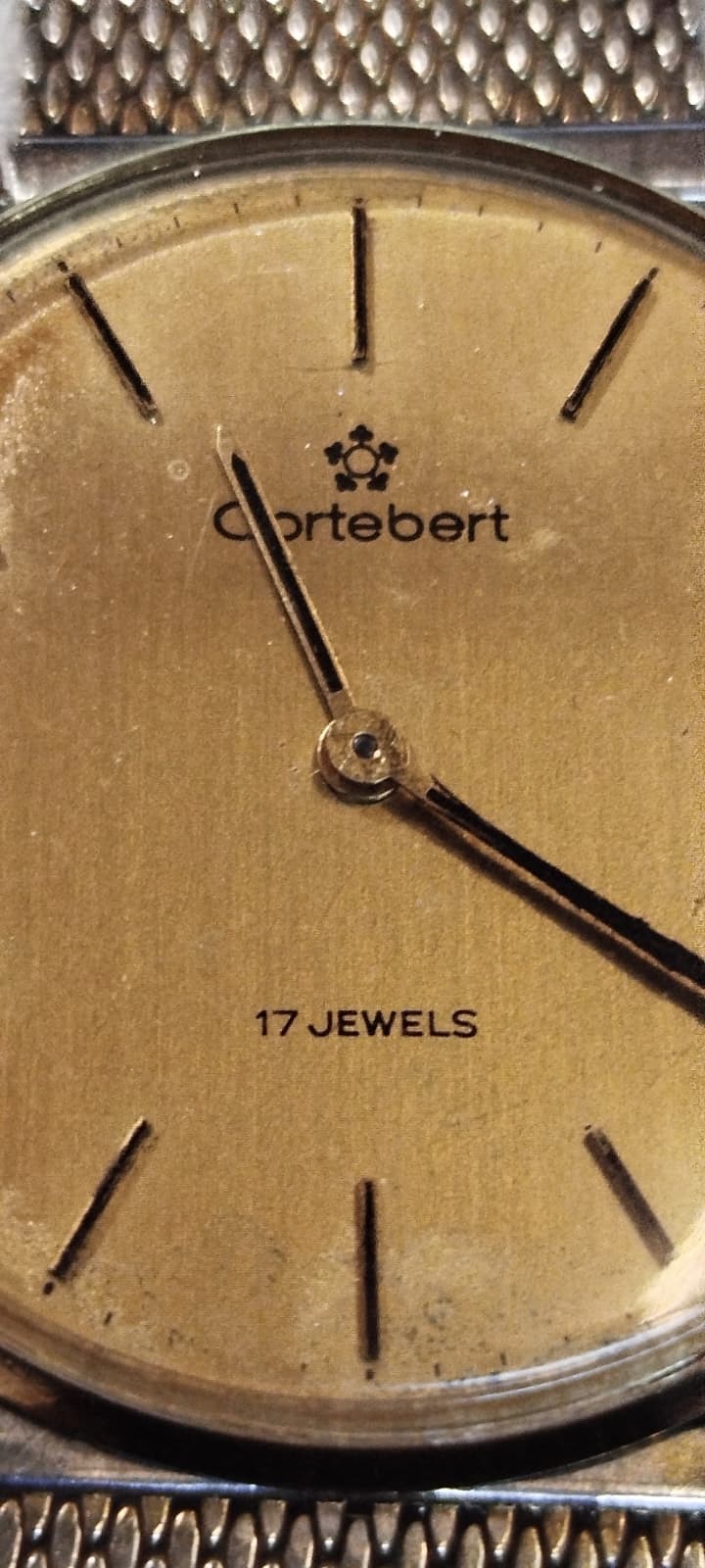 CORTEBERT 17 JEWELS SUPER SHOCK ANTI MAGNETİC KURMALI MEKANIK ERKEK KOL SAATİ