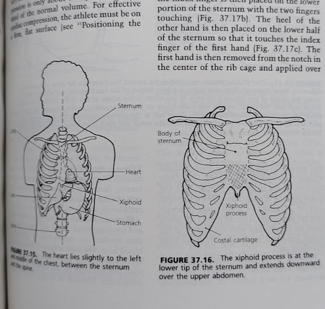 ATHLETİC TRAİNİNG AND SPORTS MEDİCİNE ATHLETİC TRAİNİNG AND SPORTS MEDİCİNE (ATLETİK EĞİTİM VE SPOR HEKİMLİĞİ)