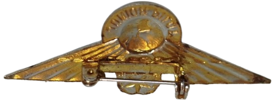 TWA  (TRANS WORLD AIRLINES)  JUNIOR KANAT PİLOT  YAKA ROZET