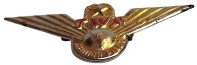 TWA  (TRANS WORLD AIRLINES)  JUNIOR KANAT PİLOT  YAKA ROZET