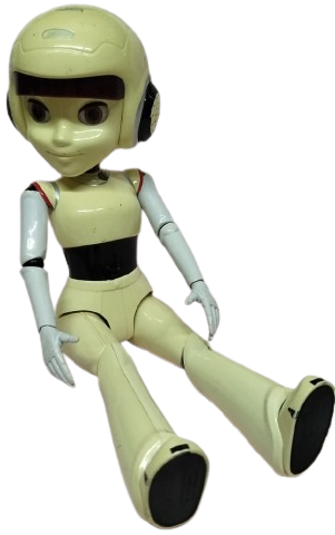 2011 ARCELİK CELİKNAZ ROBOT ÇELİK'İN EŞİ OLAN ÇELİKNAZ'DIR  ÜNLÜ OYUNCU SİNEM KOBAL HAYAT VERMİŞTİR 