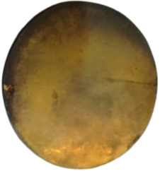 1961 TÜRKİYE OKÇULUK FEDERASYONU NOSTALJİK KOLEKSİYON YAKA ROZETİ 