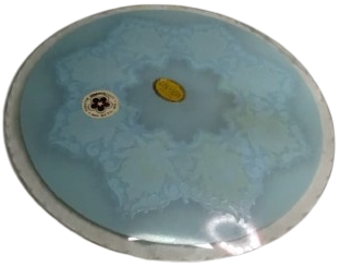 1970 MUHAMMED ALEYHİSSELAM GOKYİGİT CAM İSTANBUL EL CİZİM SUSLEME ALTIN CEKME BOMBELİ DUVAR TABAGI  