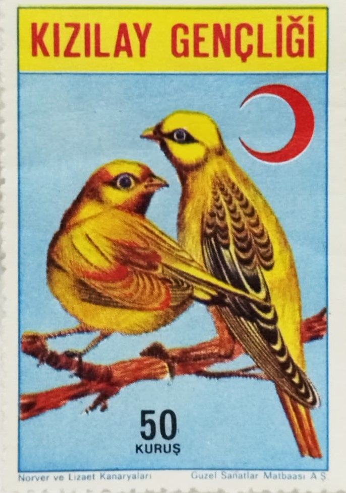 1950 LER TÜRK KIZILAY GENÇLİĞİ YARDIM PULU NORVER VE LİZAET KANARYALARI GÖRSELLERİYLE POSTADAN GECMEMİS